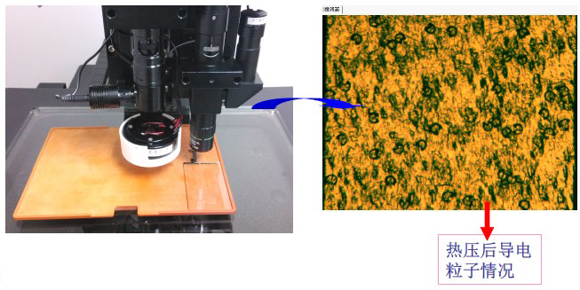 ITO、導電粒子檢視案例